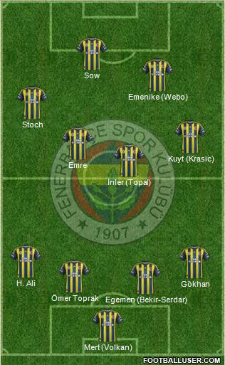 Fenerbahçe SK Formation 2013