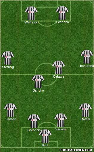 Newcastle United Formation 2013