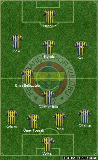 Fenerbahçe SK Formation 2013
