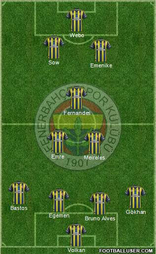 Fenerbahçe SK Formation 2013