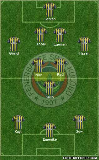 Fenerbahçe SK Formation 2013