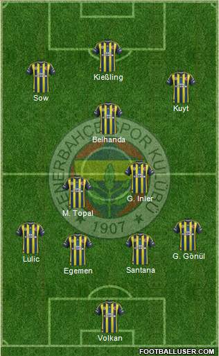 Fenerbahçe SK Formation 2013