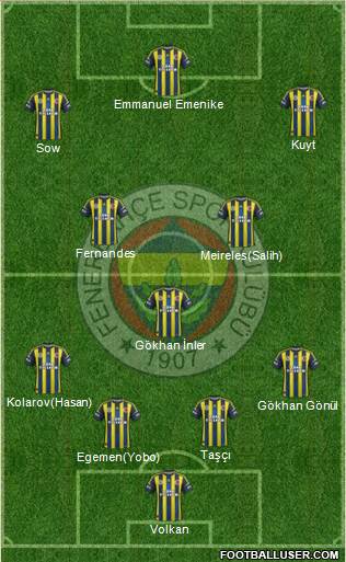 Fenerbahçe SK Formation 2013