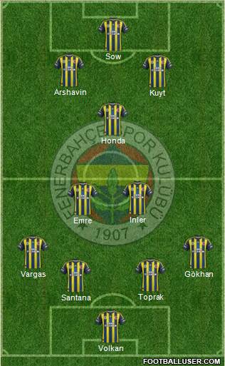 Fenerbahçe SK Formation 2013