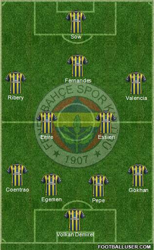 Fenerbahçe SK Formation 2013