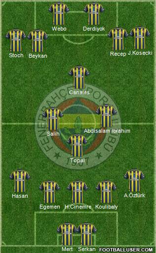 Fenerbahçe SK Formation 2013