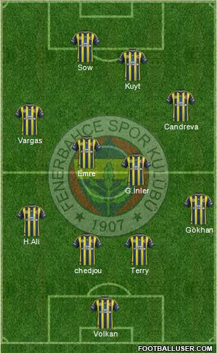 Fenerbahçe SK Formation 2013