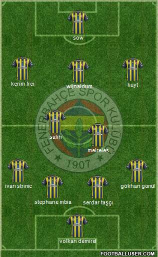 Fenerbahçe SK Formation 2013