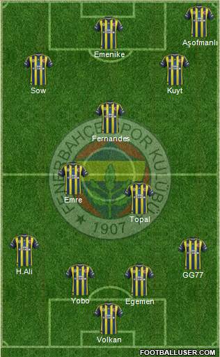 Fenerbahçe SK Formation 2013