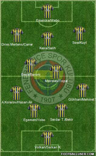 Fenerbahçe SK Formation 2013