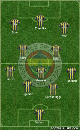 Fenerbahçe SK Formation 2013