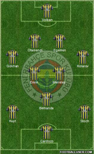 Fenerbahçe SK Formation 2013