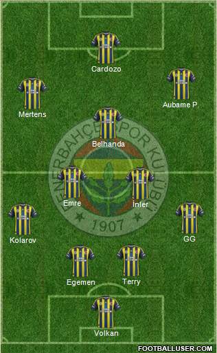 Fenerbahçe SK Formation 2013