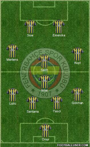 Fenerbahçe SK Formation 2013