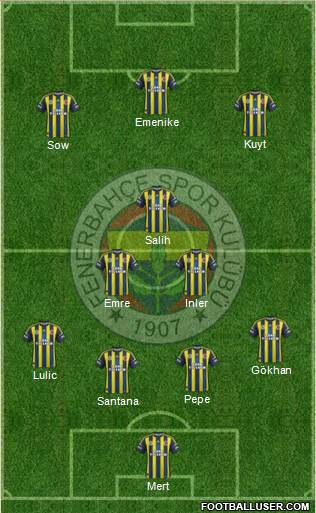 Fenerbahçe SK Formation 2013