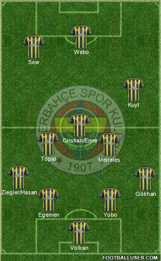 Fenerbahçe SK Formation 2013
