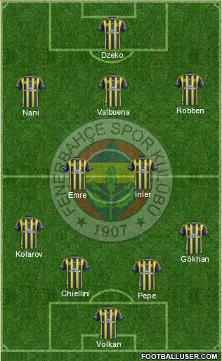 Fenerbahçe SK Formation 2013