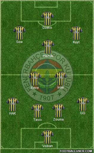 Fenerbahçe SK Formation 2013