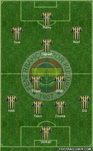 Fenerbahçe SK Formation 2013