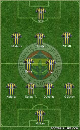 Fenerbahçe SK Formation 2013