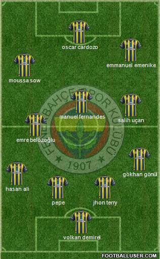 Fenerbahçe SK Formation 2013