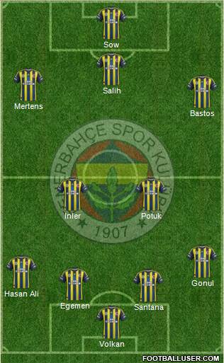 Fenerbahçe SK Formation 2013