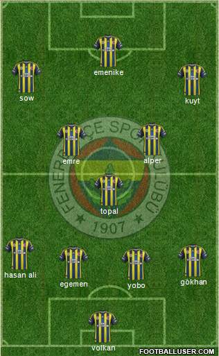Fenerbahçe SK Formation 2013