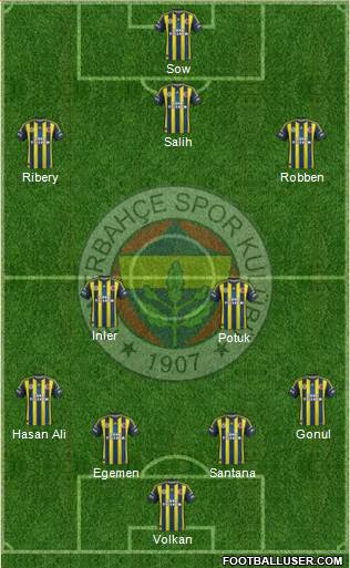 Fenerbahçe SK Formation 2013
