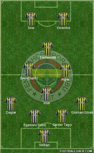 Fenerbahçe SK Formation 2013