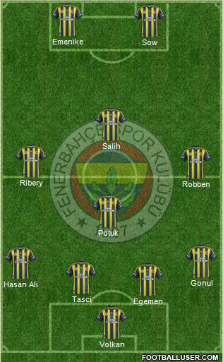 Fenerbahçe SK Formation 2013