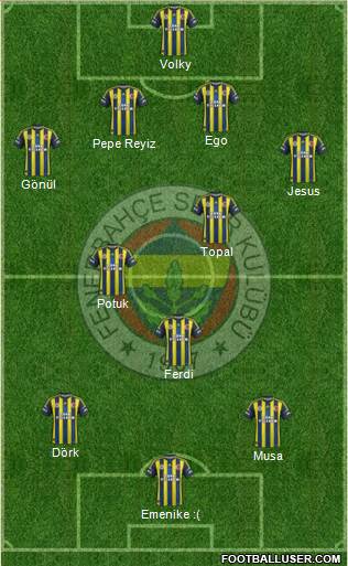 Fenerbahçe SK Formation 2013