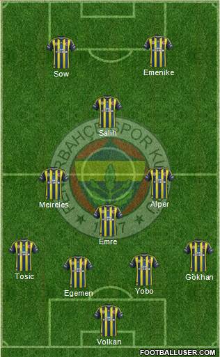 Fenerbahçe SK Formation 2013