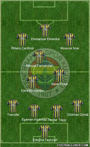 Fenerbahçe SK Formation 2013
