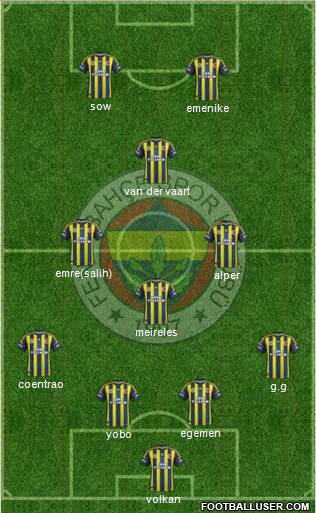 Fenerbahçe SK Formation 2013