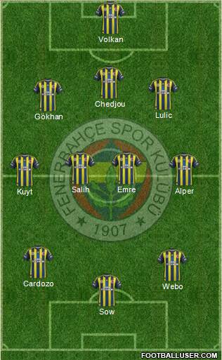 Fenerbahçe SK Formation 2013