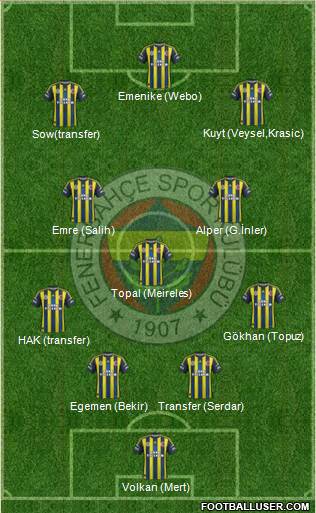 Fenerbahçe SK Formation 2013