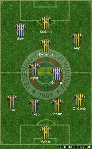 Fenerbahçe SK Formation 2013