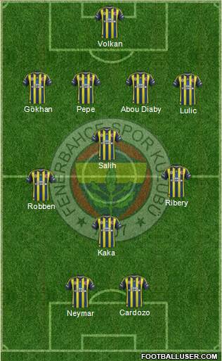 Fenerbahçe SK Formation 2013