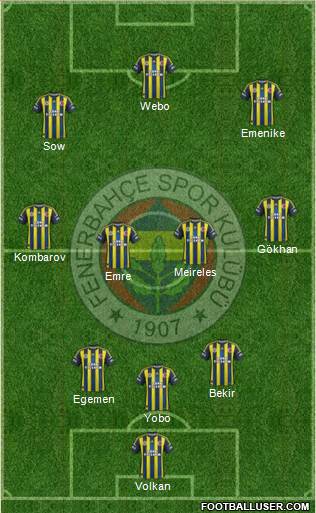 Fenerbahçe SK Formation 2013