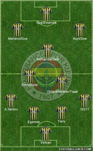Fenerbahçe SK Formation 2013