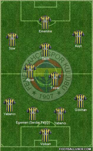 Fenerbahçe SK Formation 2013