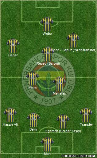 Fenerbahçe SK Formation 2013