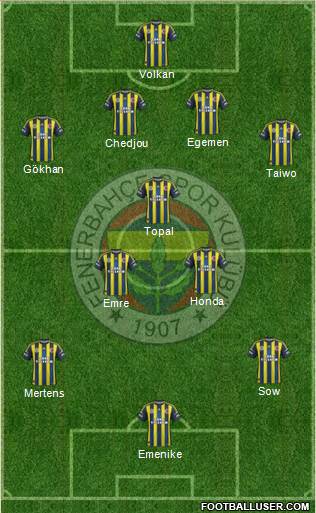 Fenerbahçe SK Formation 2013