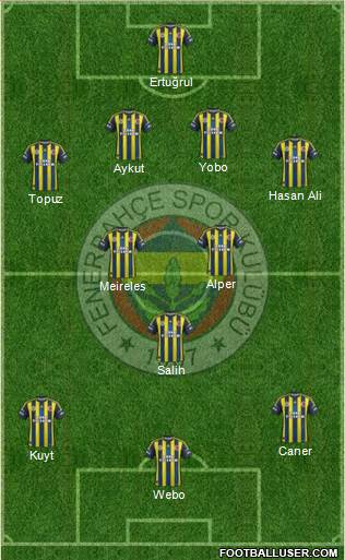 Fenerbahçe SK Formation 2013