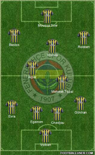 Fenerbahçe SK Formation 2013