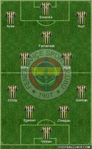 Fenerbahçe SK Formation 2013