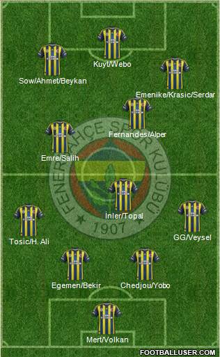 Fenerbahçe SK Formation 2013