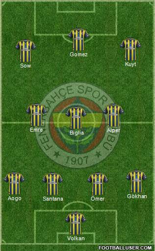 Fenerbahçe SK Formation 2013