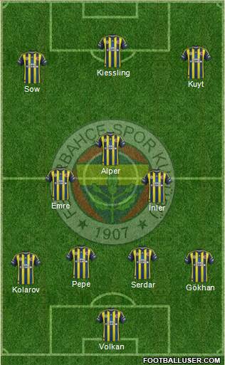 Fenerbahçe SK Formation 2013