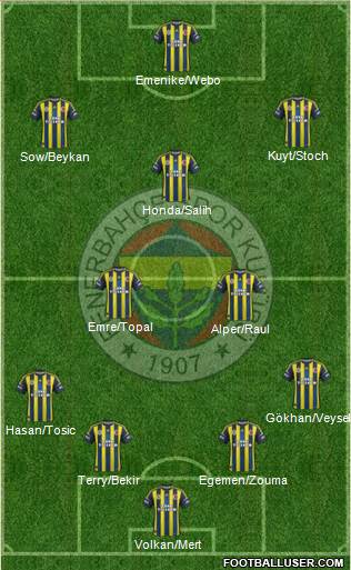 Fenerbahçe SK Formation 2013